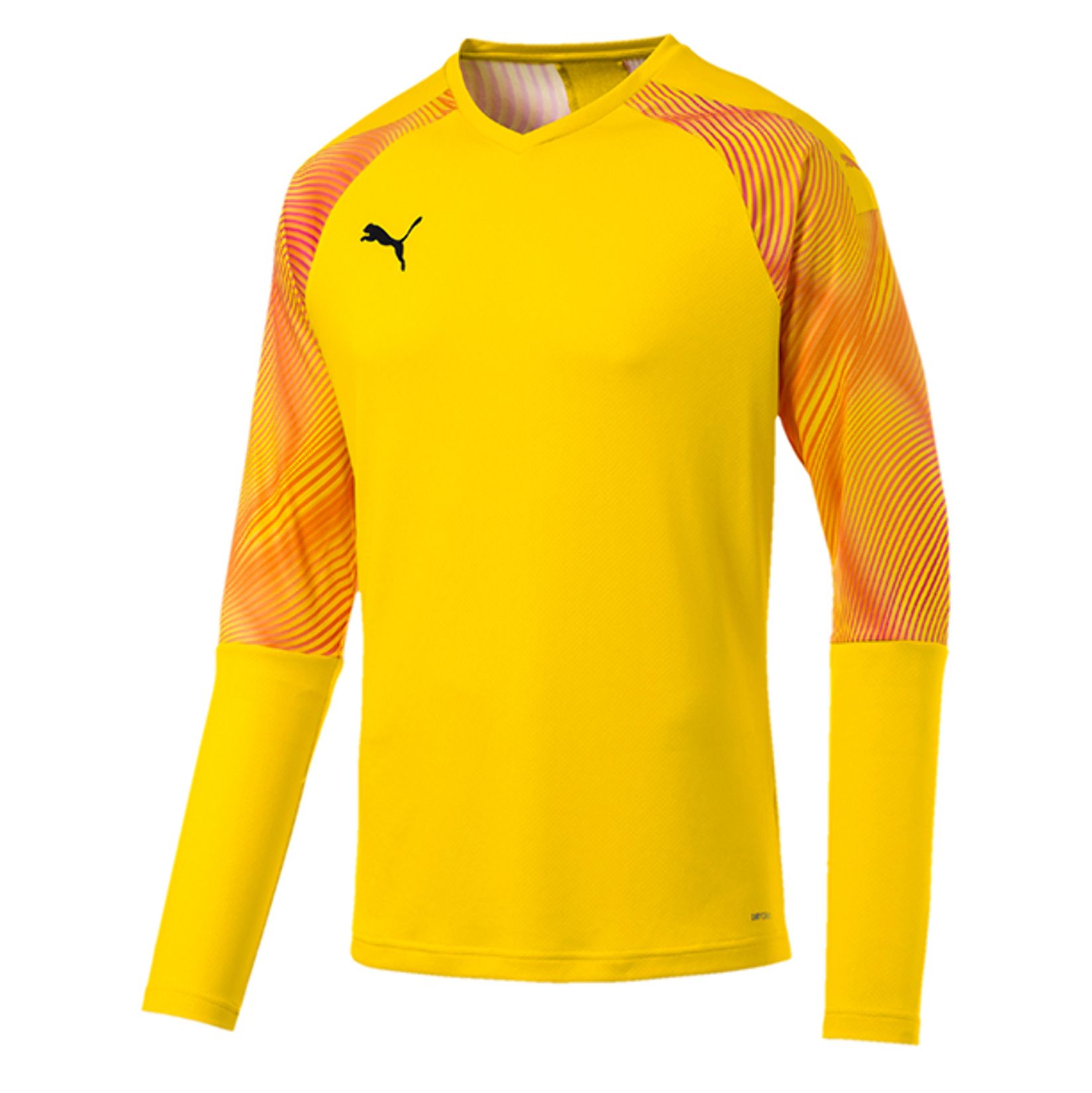 puma goalkeeper jersey 2018