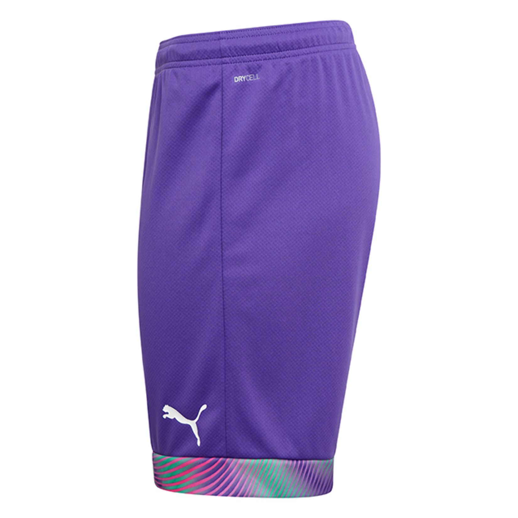 puma goalkeeper shorts