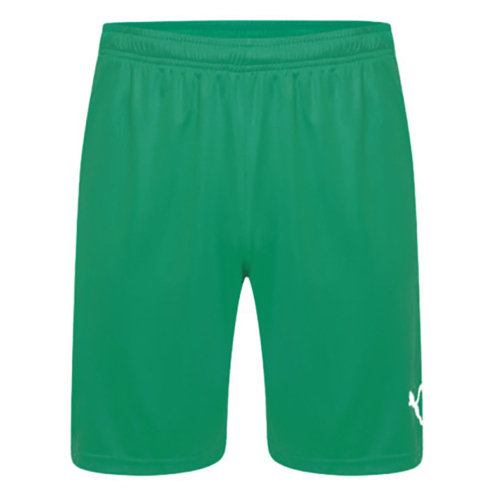 Puma Liga Shorts - Kitlocker.com