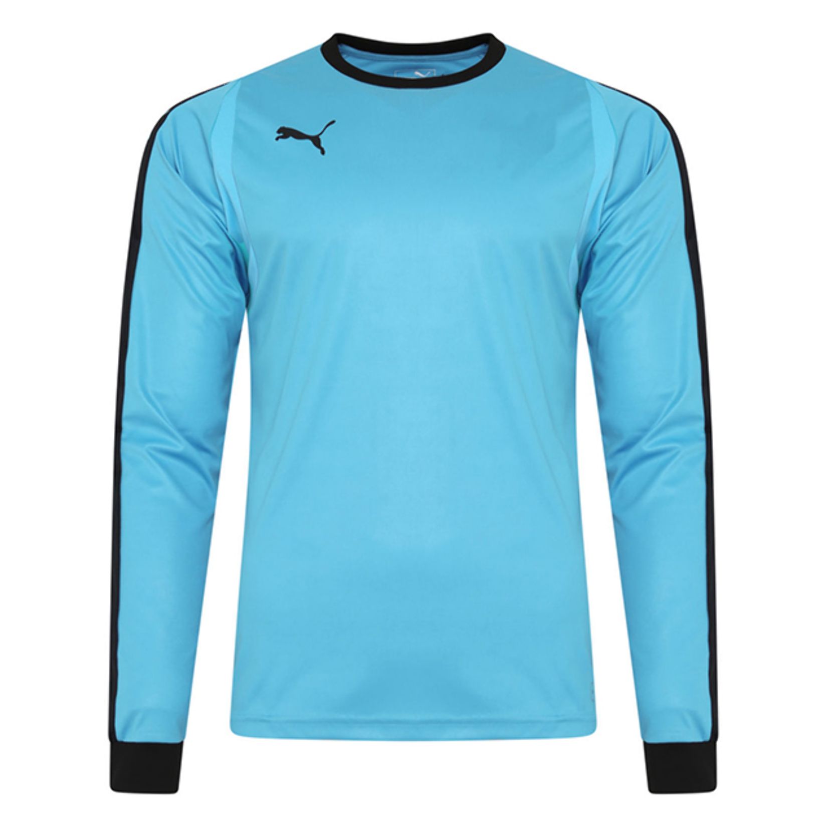 puma liga goalkeeper jersey