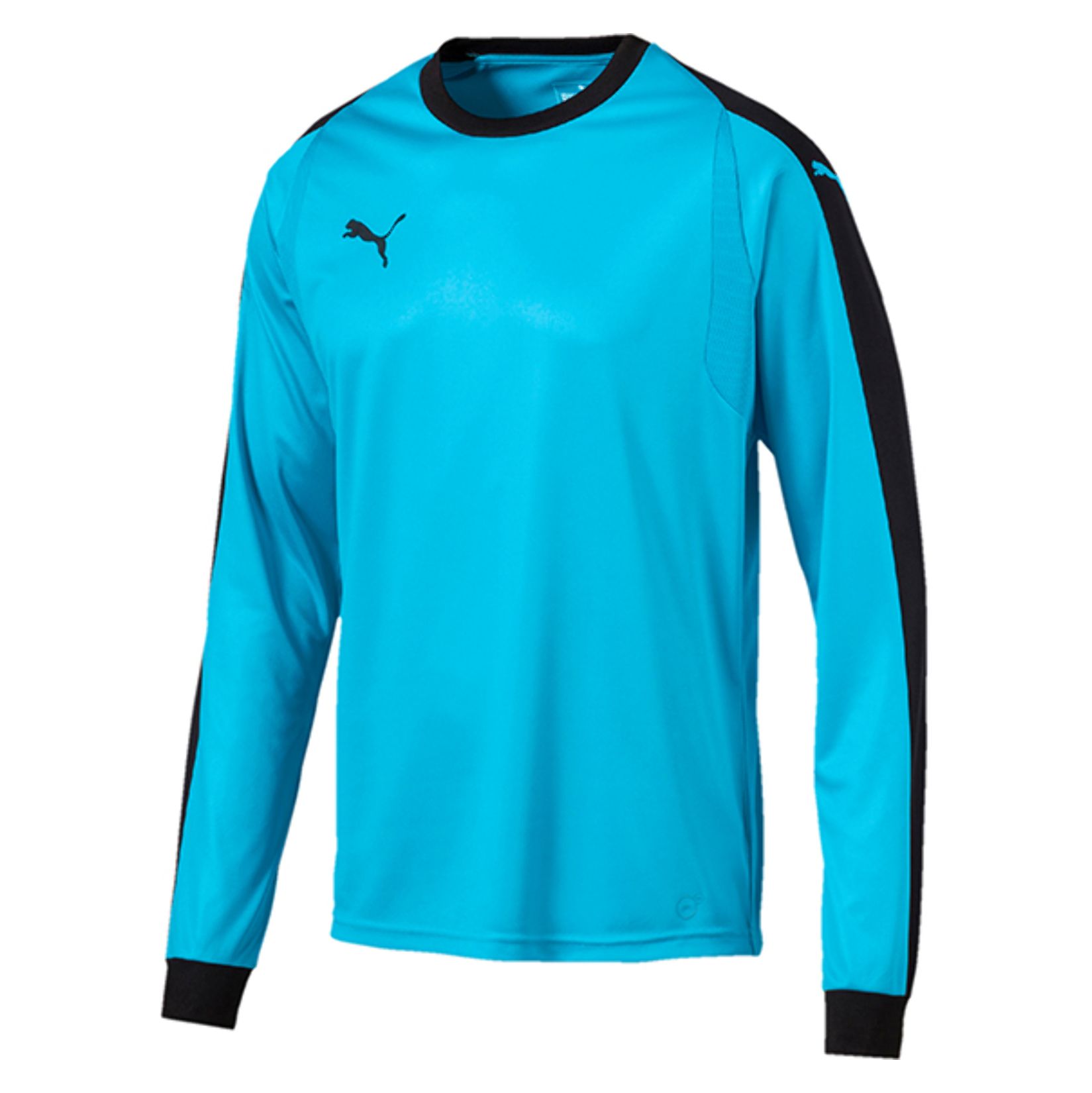 puma liga goalkeeper jersey