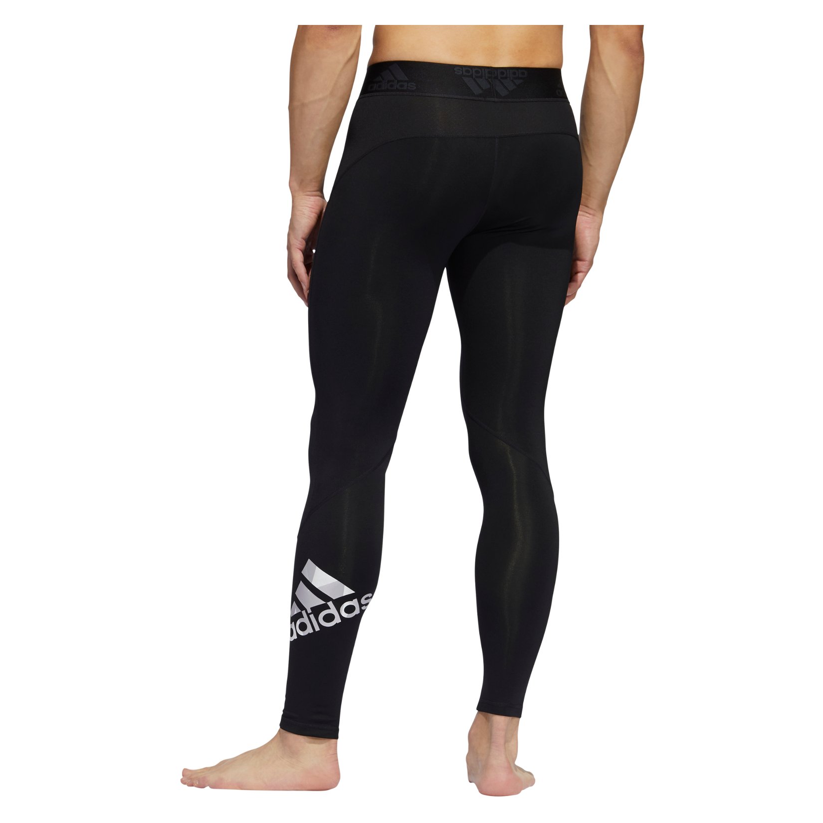 alphaskin sport long tights