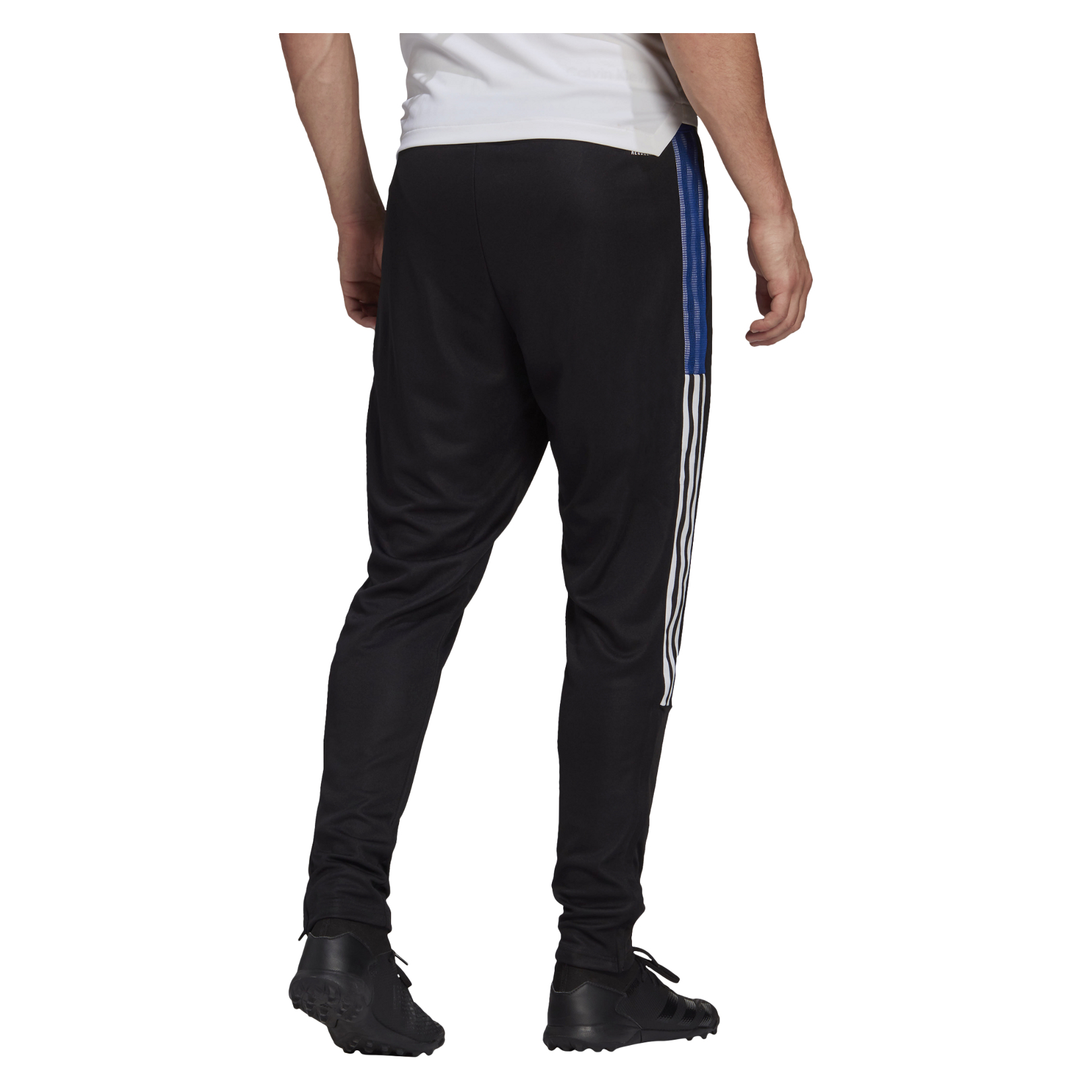 adidas Tiro 21 Track Pants (M) - Kitlocker.com