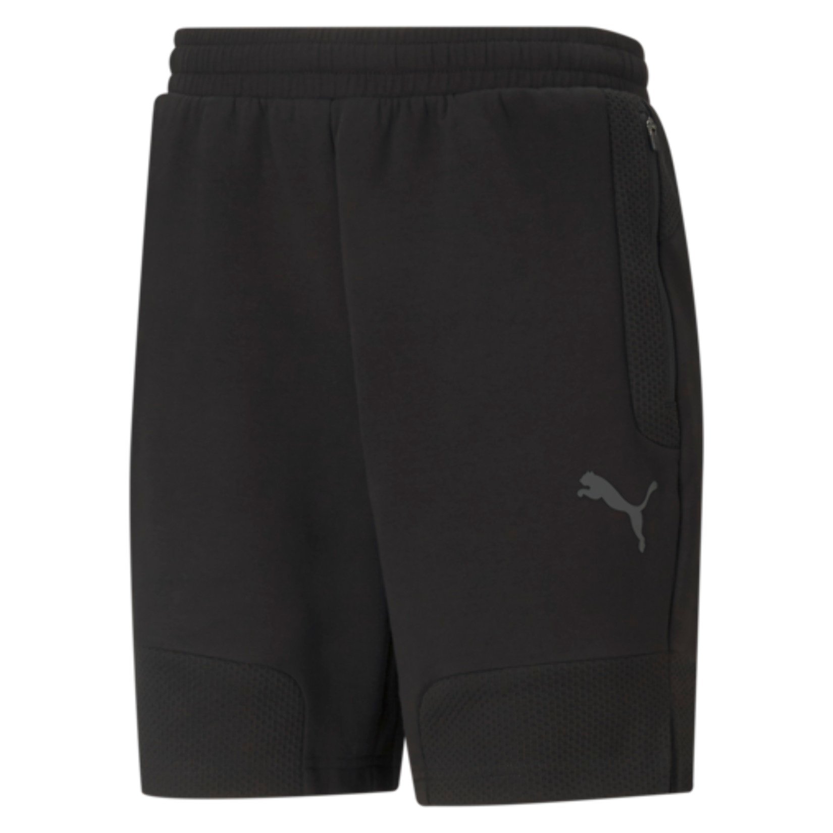 Puma Teamcup Casuals Shorts