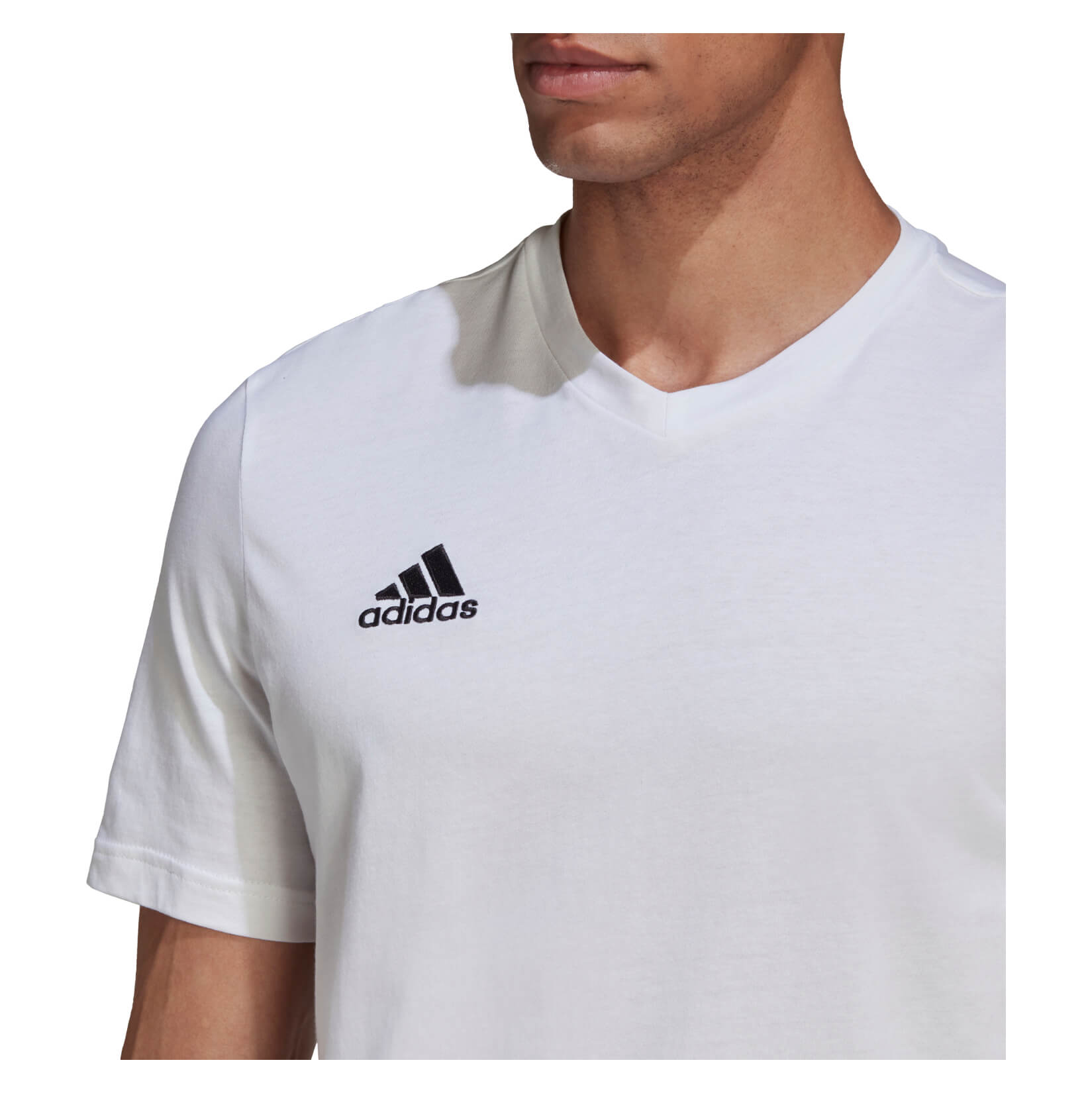 adidas Entrada 22 Tee