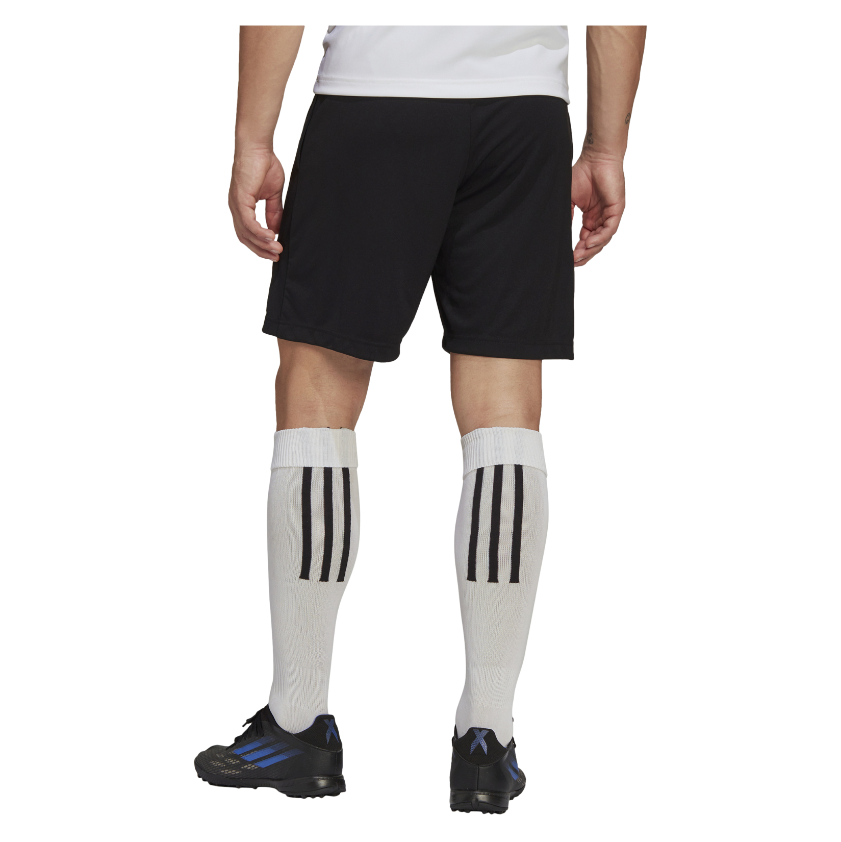 adidas Entrada 22 Training Shorts