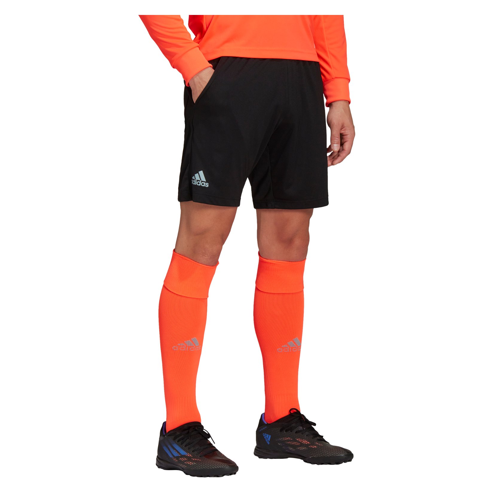 Referee 22 Shorts Kitlocker.com