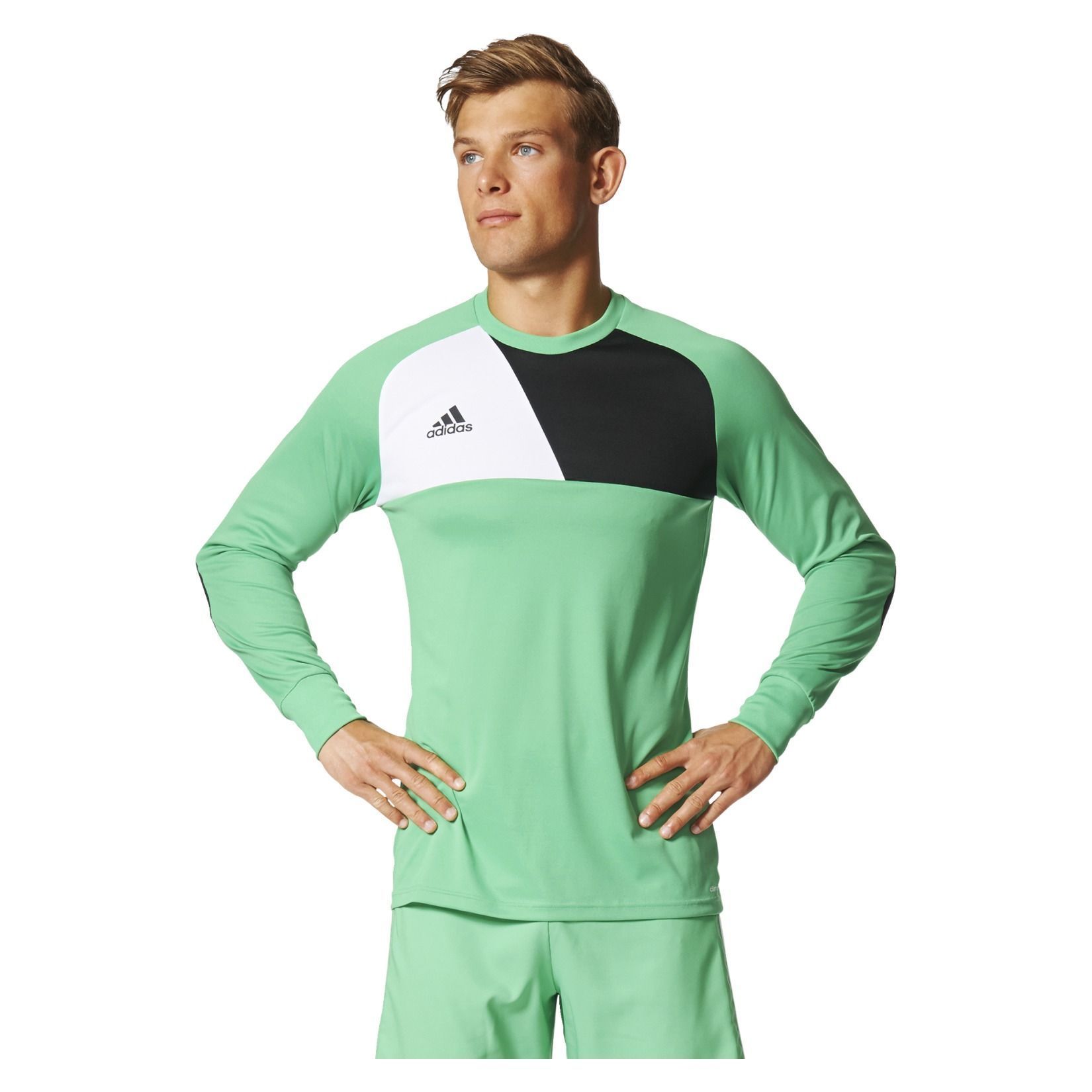 adidas assita 17 goalkeeper jersey