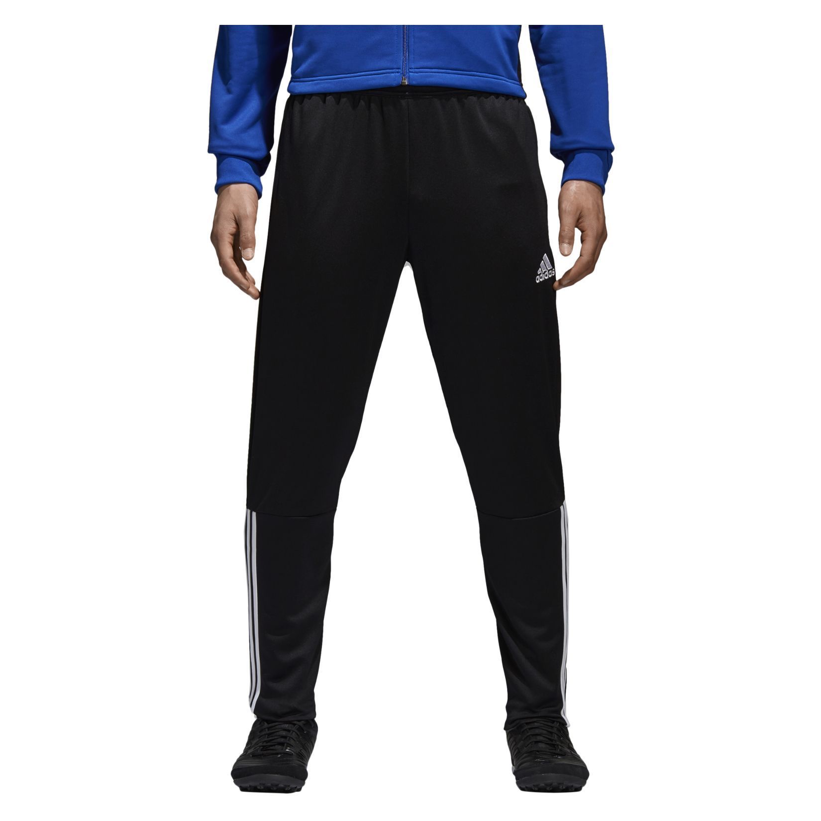 men's regista 18 training pant