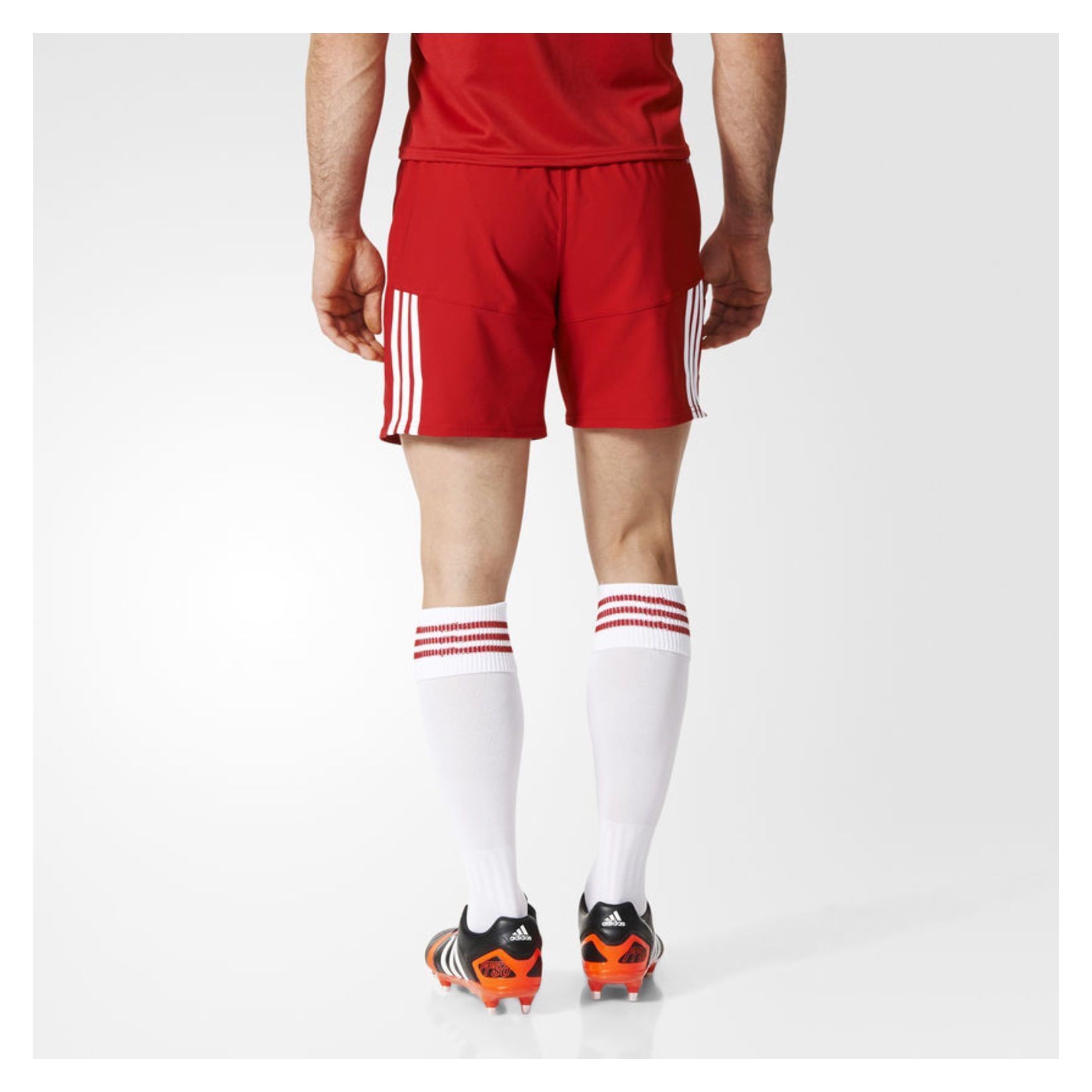 adidas rugby shorts