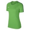Nike Womens Academy 18 Short Sleeve Top (W) Light Green Spark-Pine Green-White
