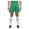adidas Condivo 18 Shorts Bold Green-Solar Green