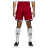 Adidas Regista 18 Short Power Red-White
