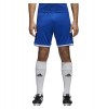 Adidas Regista 18 Short Bold Blue-White