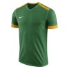 Nike Park Derby II Short Sleeve Shirt Pine Green-University Gold-White