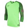 Nike Gardien Long Sleeve Goalkeeper Shirt