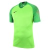 Nike Gardien Short Sleeve Goalkeeper Shirt Green Strike-Green Spark-Black