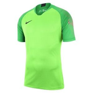 goalkeeper shorts nike