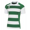 Errea Treviso 3.0 Hooped Rugby Jersey White Green