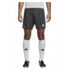 Adidas Tastigo 19 Shorts Dgh Solid Grey-White