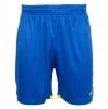 Stanno Focus Short Royal-Yellow