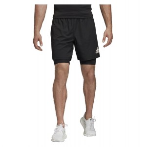 adidas rugby shorts