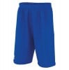 Errea Dallas 3.0 Shorts Blue