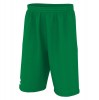 Errea Dallas 3.0 Shorts Green