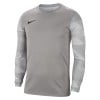 Nike Park Iv Goalkeeper Dri-fit Jersey Pewter Grey-White-Black