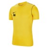 Nike Park 20 Short Sleeve Training Tee Tour Yellow-Black-Black