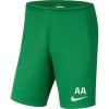 Nike Park III Shorts Pine Green-White