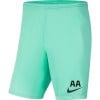 Nike Park III Shorts Hyper Turq-Black