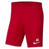 Nike Park III Shorts University Red-White
