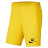 Nike Park III Shorts Tour Yellow-Black