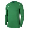 Nike Dri-fit Park 20 Crew Top Pine Green-White-White