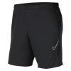 Nike Dri-fit Academy Pro Pocketed Shorts  Anthracite-Black-White