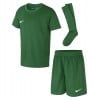 Nike Dri-fit Park 20 Little Kids Kit Pine Green-Pine Green-White