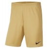 Nike Park III Shorts - Jersey Gold/Black