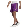 Adidas Condivo 20 Shorts Glory Purple-Team Semi Sol Green