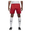 adidas Condivo 18 Shorts - Power Red/Energy Aqua