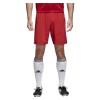 adidas Condivo 18 Shorts - Power Red/White