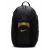 Nike Academy Storm-FIT Team Backpack - Black/Black/Gold Coin