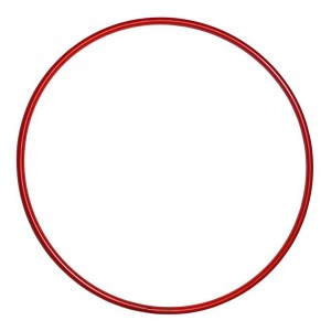 Essential Hula Hoop 24