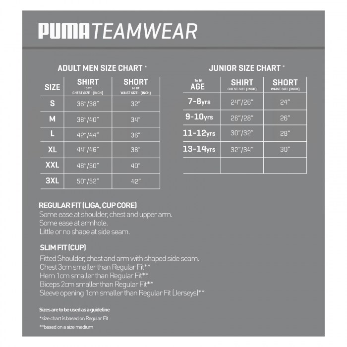 Puma Liga Hooped Short sleeve Jersey