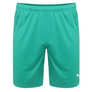 Puma Liga Core Shorts Pepper Green-White