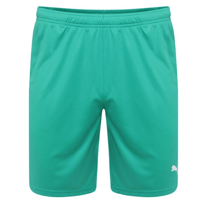 Puma Liga Core Shorts Pepper Green-White