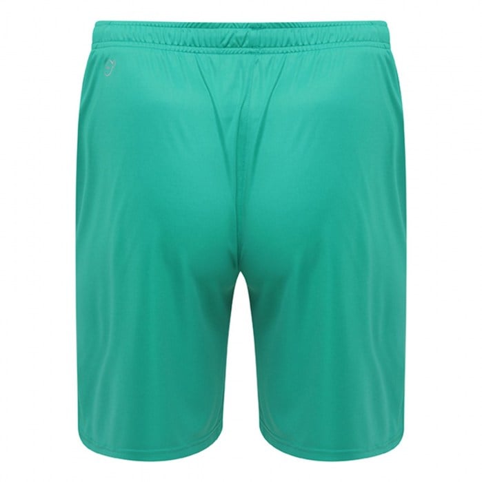 Puma Liga Core Shorts Pepper Green-White