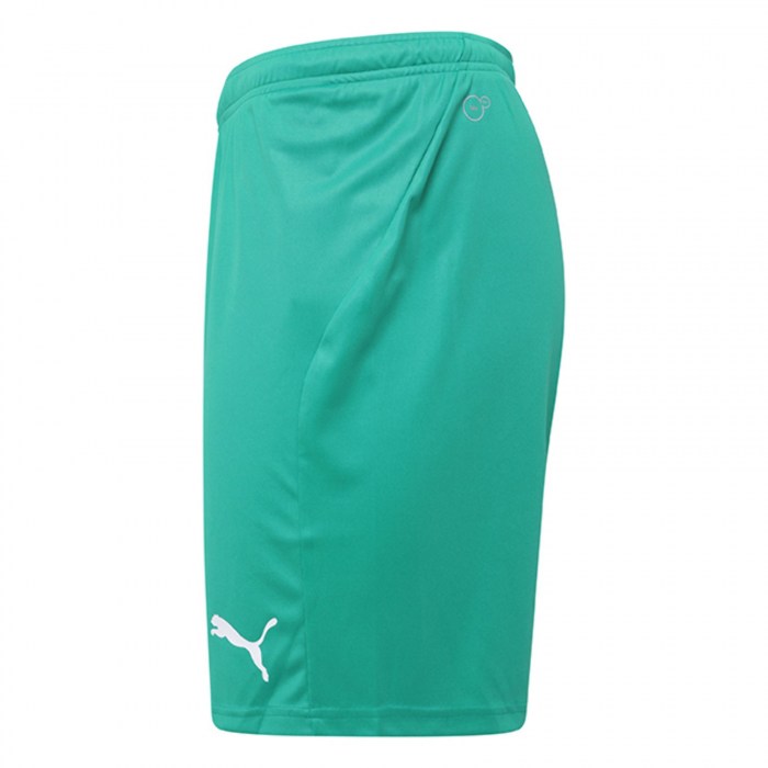 Puma Liga Core Shorts Pepper Green-White