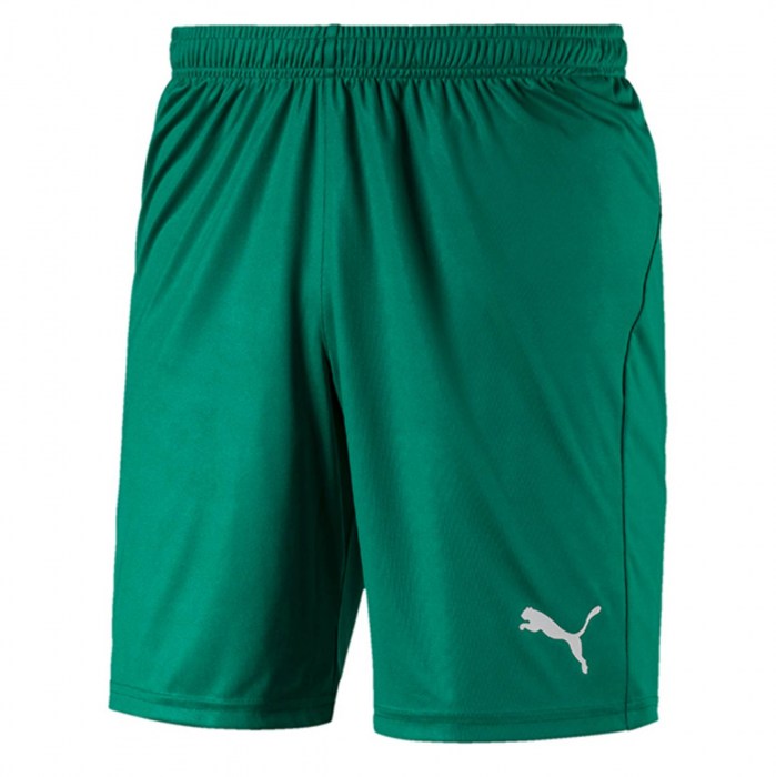 Puma Liga Core Shorts Pepper Green-White