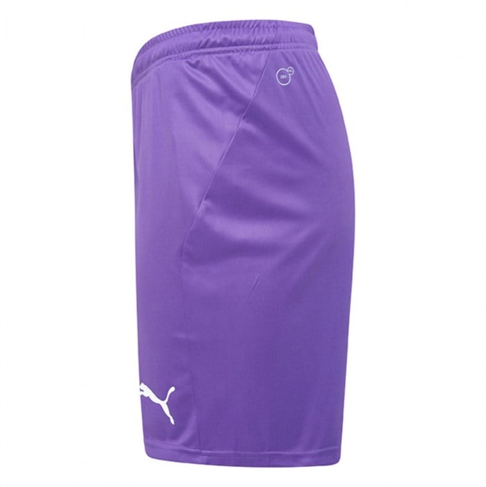 Puma Liga Core Shorts Prism Violet